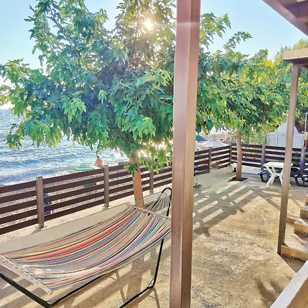 Front House At Agios Ilias Pyrgos Near Ancient Olympia *