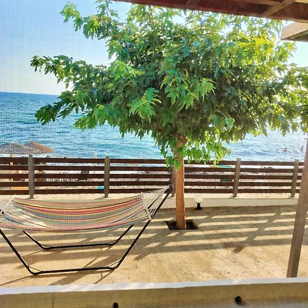 Front House At Agios Ilias Pyrgos Near Ancient Olympia * Agios Ilias (Elis)