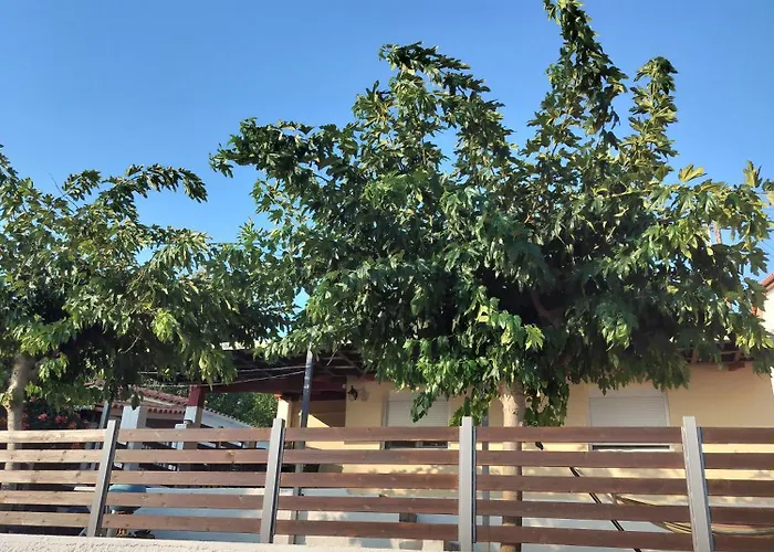 Vakantiehuis Front House At Agios Ilias Pyrgos Near Ancient Olympia